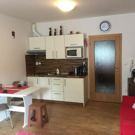Apartman Na Pohodu 25 Apartment Липно над Вълтава Екстериор снимка